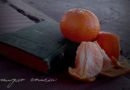 Hoy volví comer una mandarina sentado en el cordón de la vereda Hoy volví comer una mandarina sentado en el cordón de la vereda